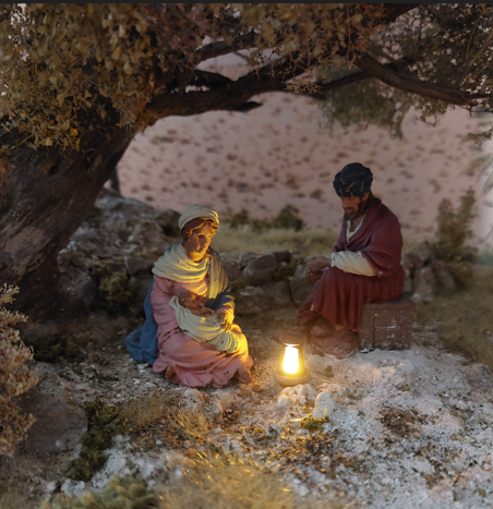 Natività sotto l'ulivo - immagine 4