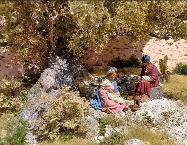 Natività sotto l'ulivo - immagine 3