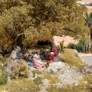 Natività sotto l'ulivo
